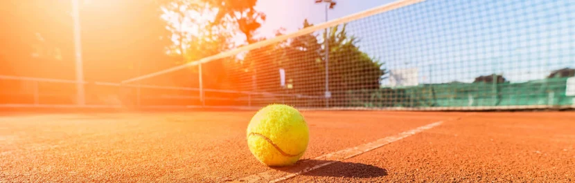 Добро пожаловать в мир большого тенниса!